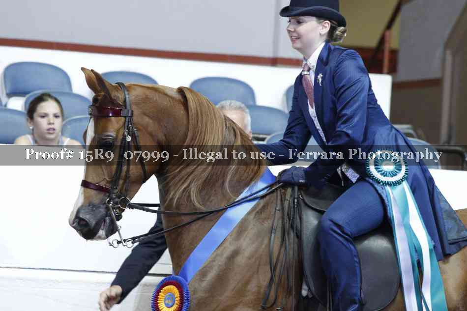 Proof Number 15R9_07999