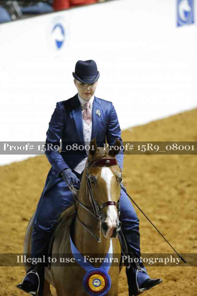 Proof Number 15R9_08001
