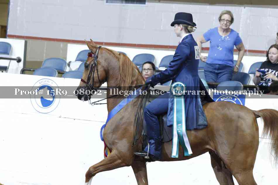 Proof Number 15R9_08002