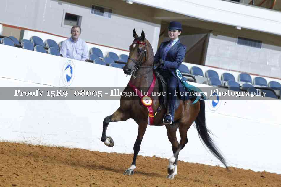 Proof Number 15R9_08005