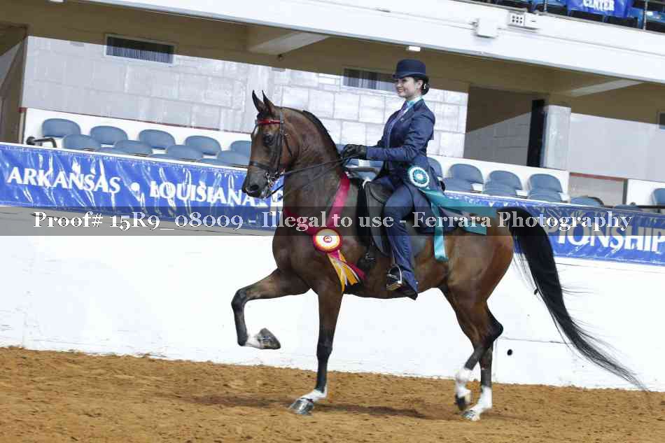 Proof Number 15R9_08009