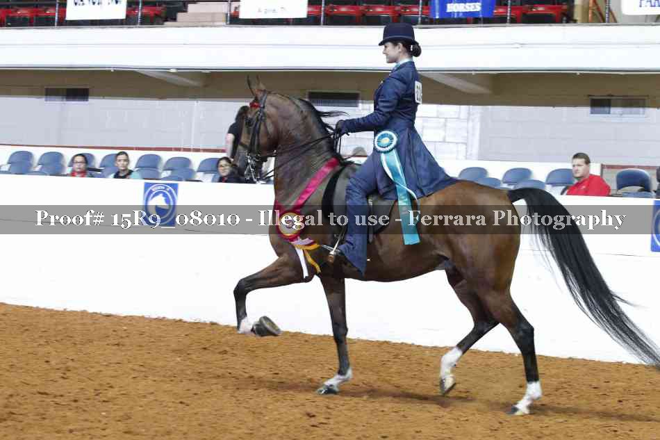 Proof Number 15R9_08010
