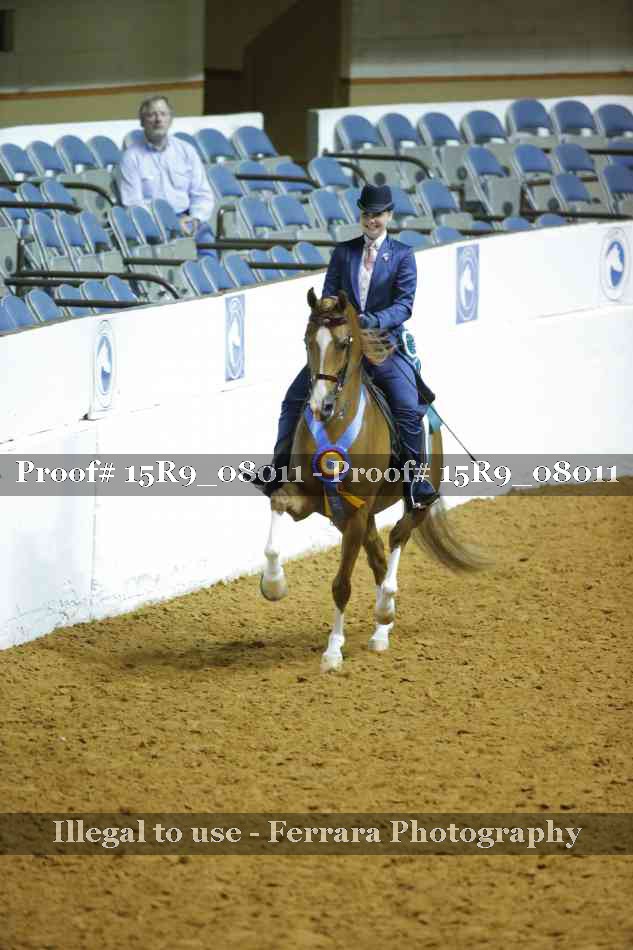 Proof Number 15R9_08011