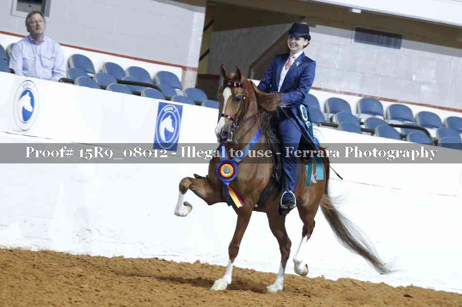 Proof Number 15R9_08012