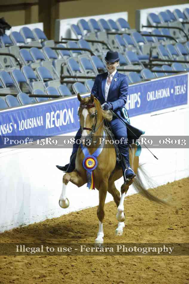 Proof Number 15R9_08013