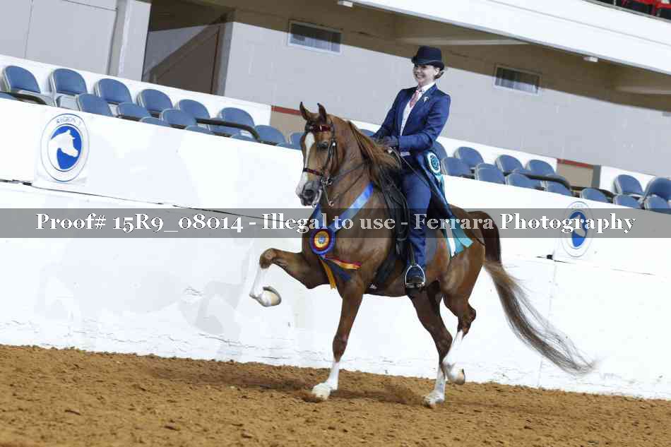 Proof Number 15R9_08014