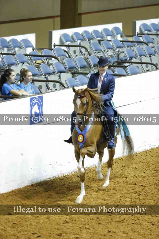 Proof Number 15R9_08015