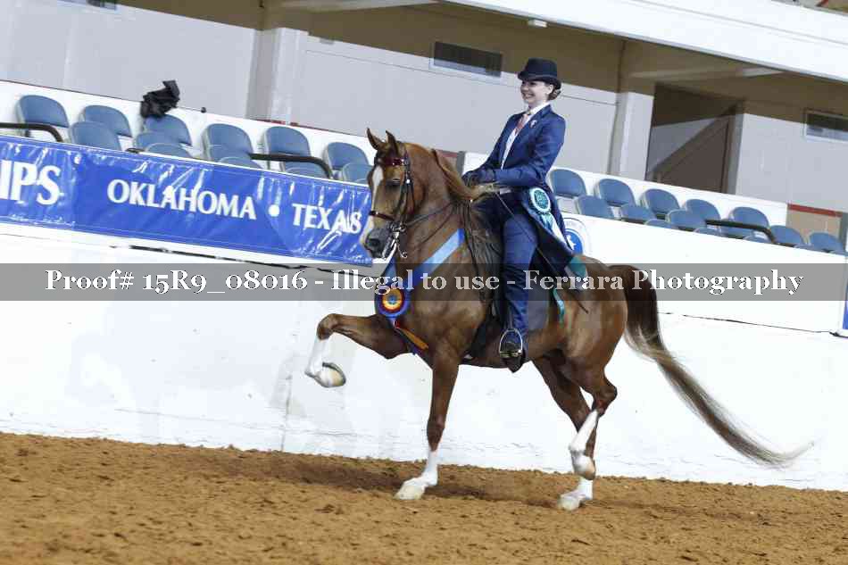 Proof Number 15R9_08016