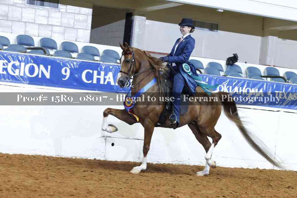 Proof Number 15R9_08017