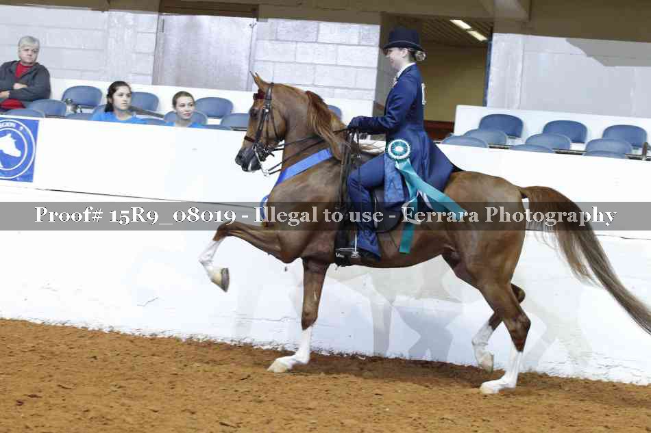 Proof Number 15R9_08019