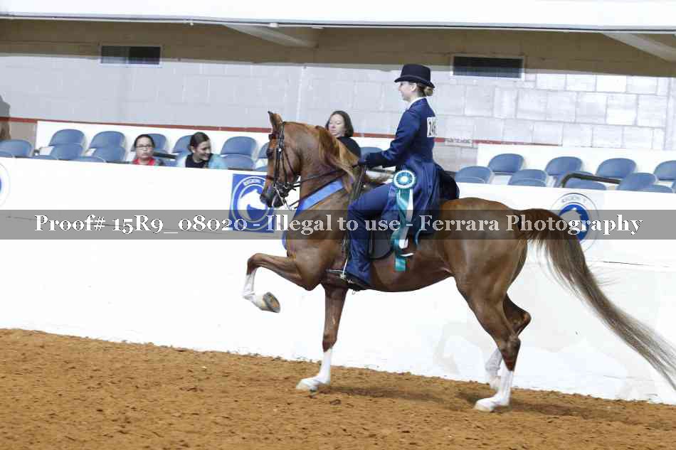 Proof Number 15R9_08020