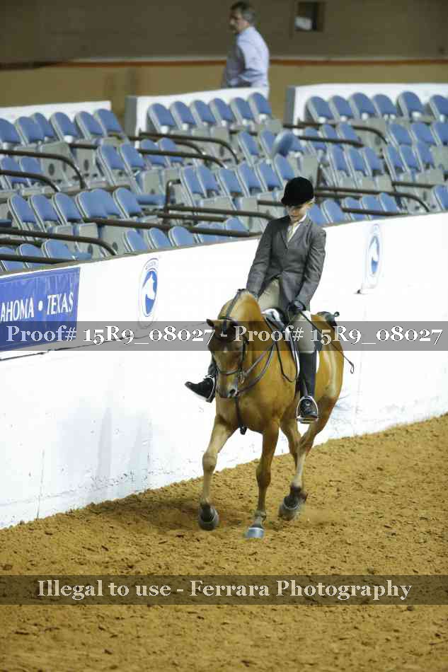 Proof Number 15R9_08027
