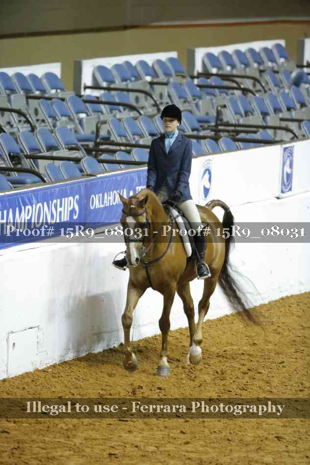 Proof Number 15R9_08031