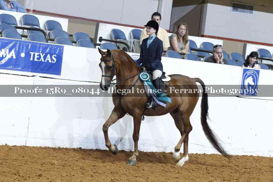 Proof Number 15R9_08044