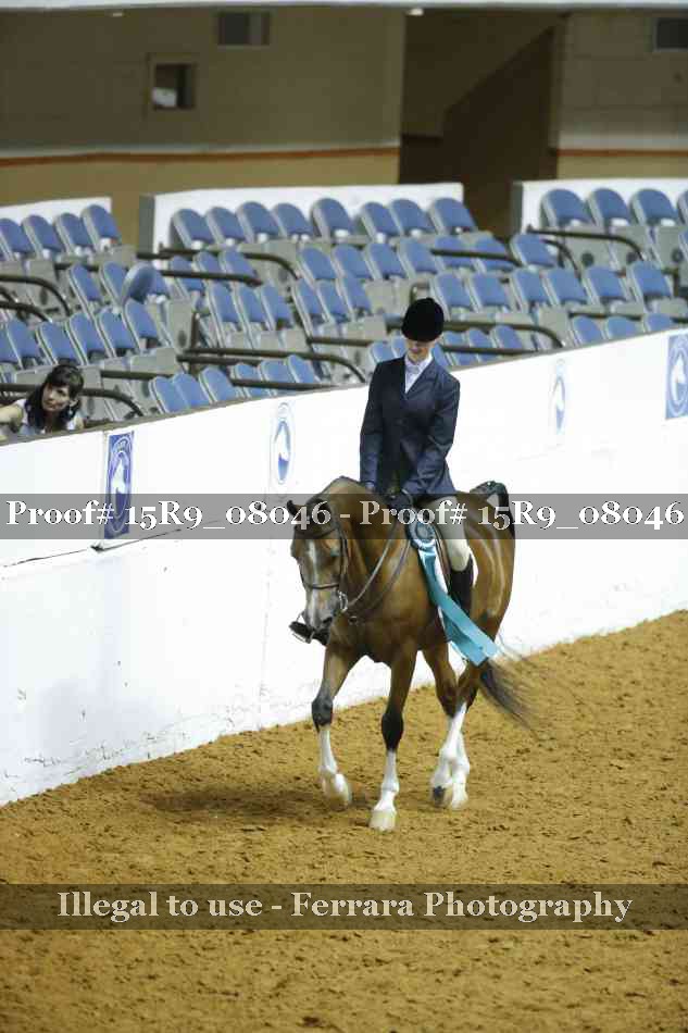 Proof Number 15R9_08046
