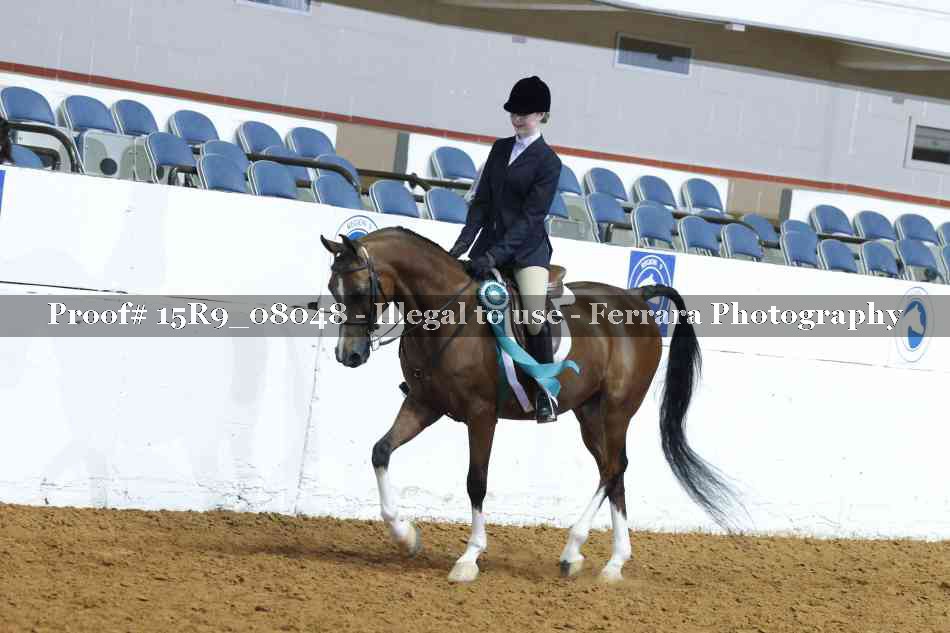 Proof Number 15R9_08048