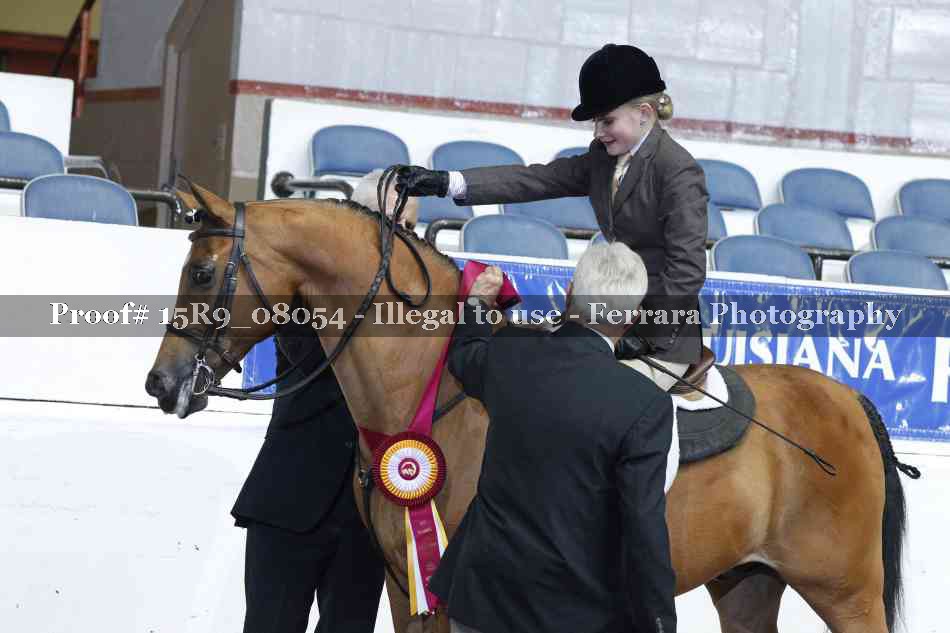 Proof Number 15R9_08054