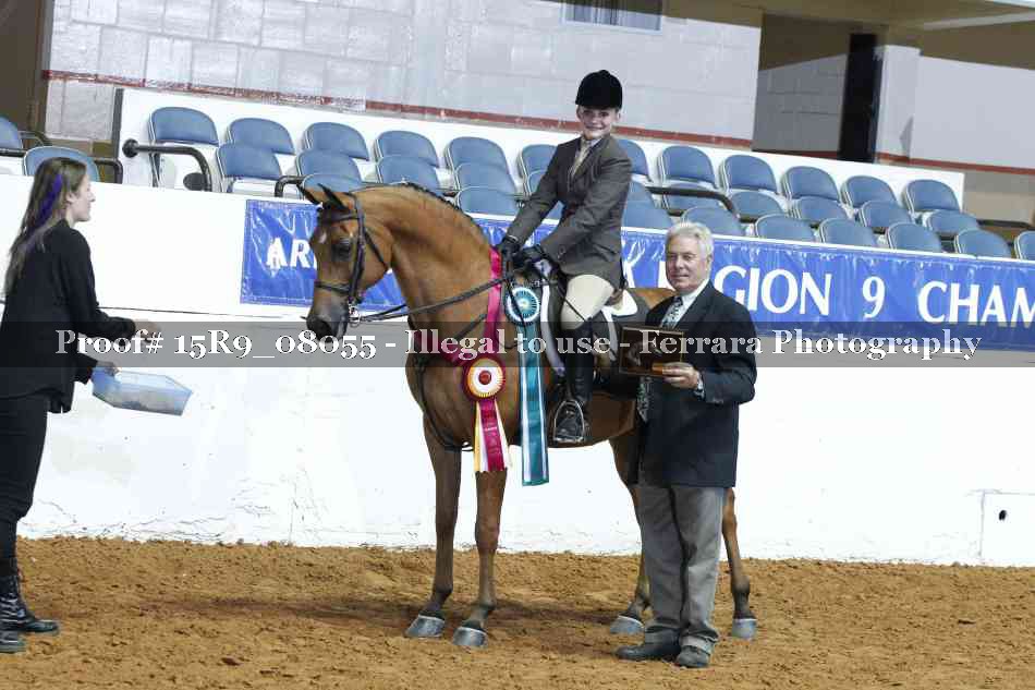 Proof Number 15R9_08055
