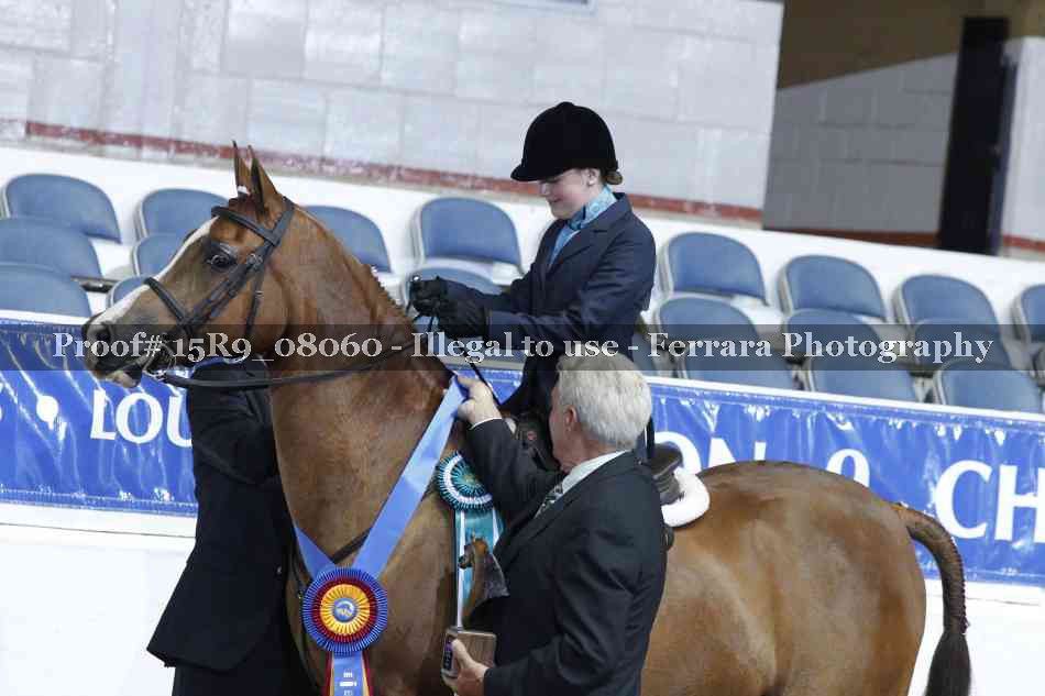 Proof Number 15R9_08060