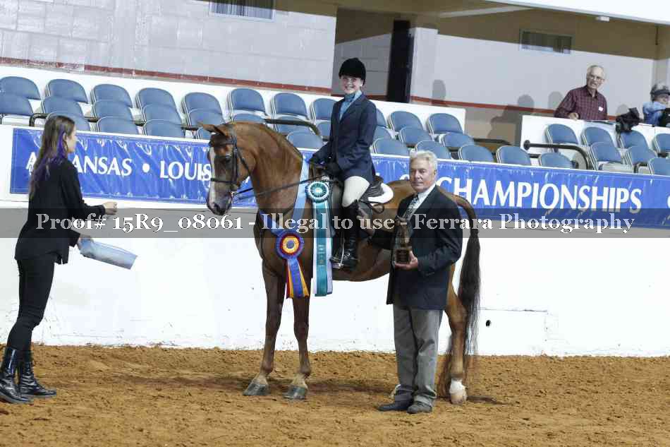 Proof Number 15R9_08061