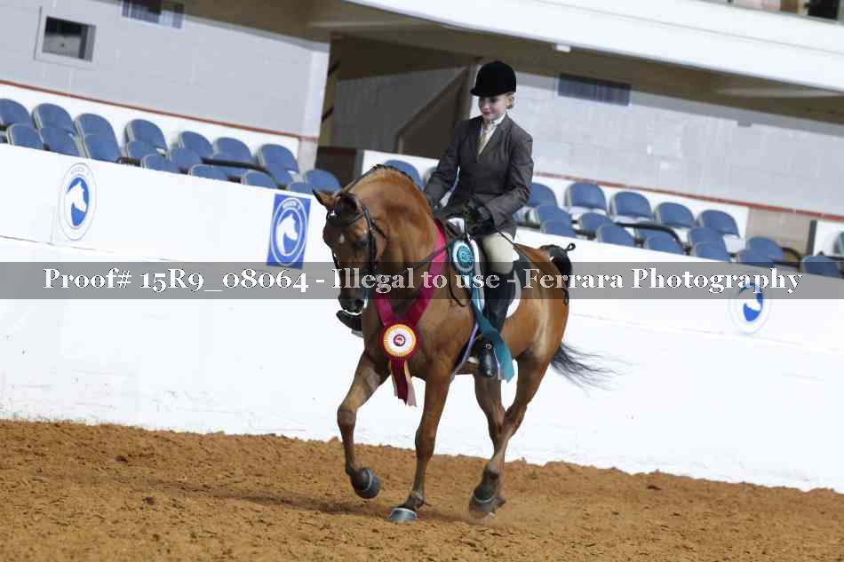 Proof Number 15R9_08064