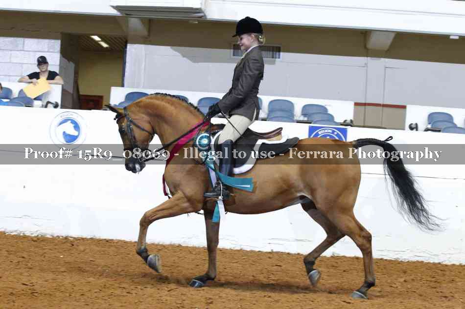 Proof Number 15R9_08069