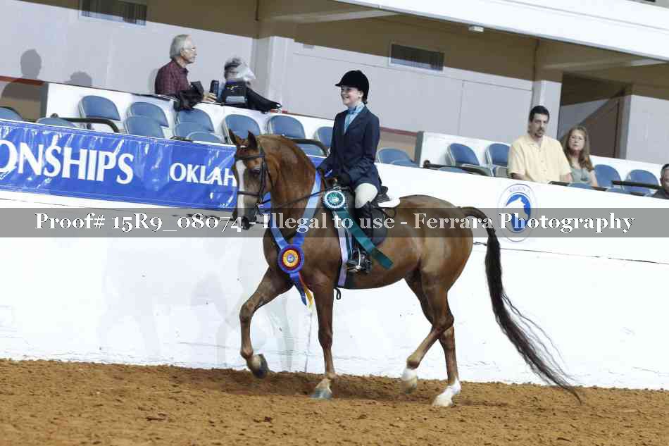 Proof Number 15R9_08074