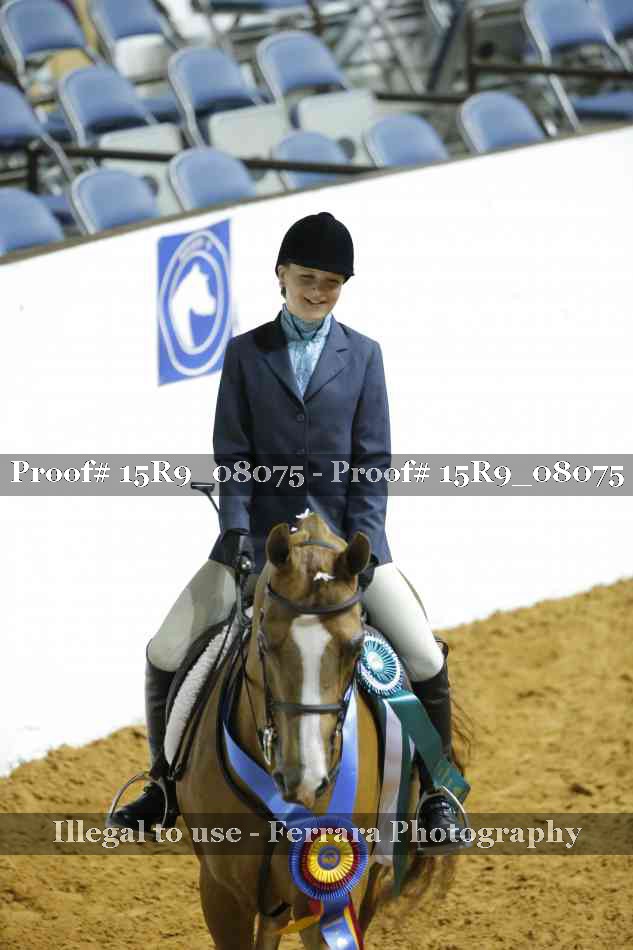 Proof Number 15R9_08075