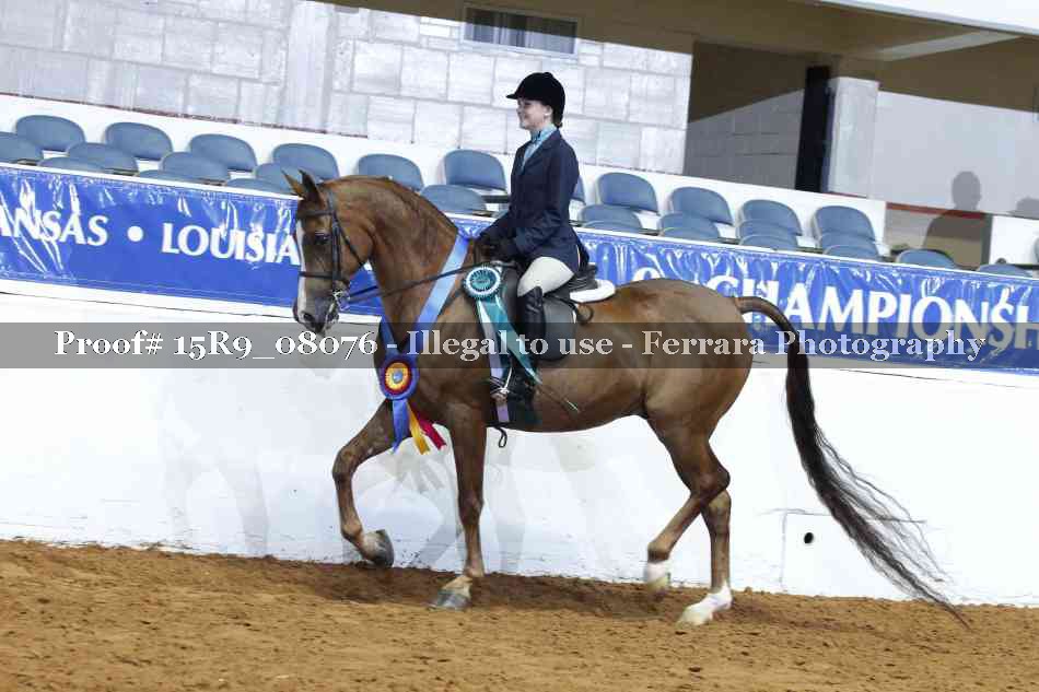 Proof Number 15R9_08076