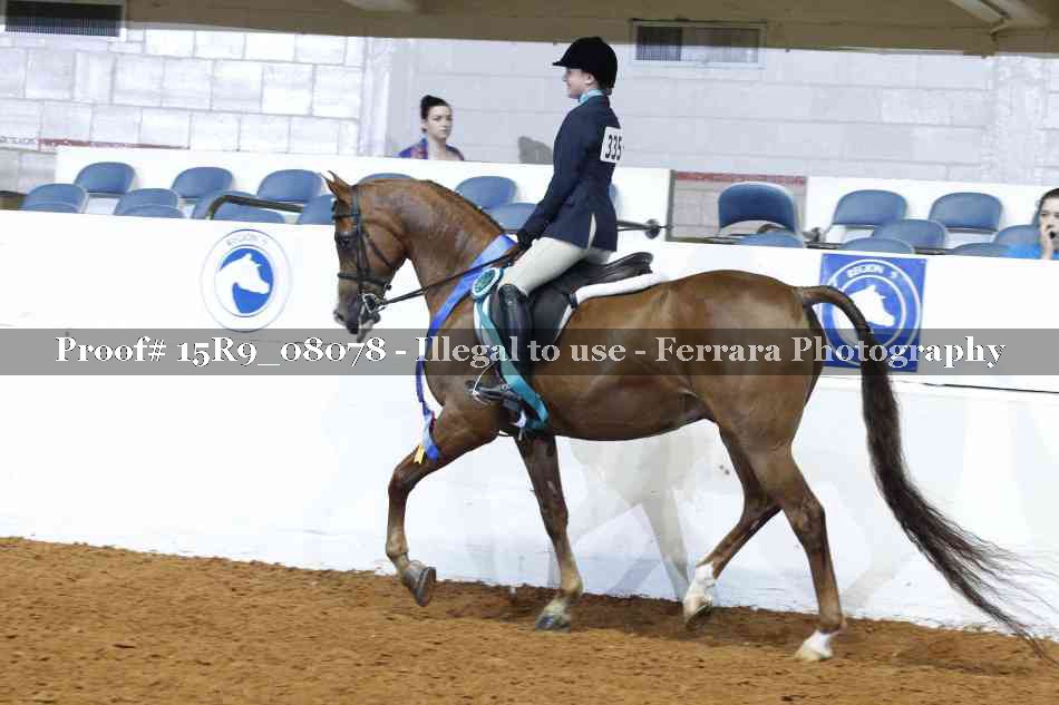 Proof Number 15R9_08078