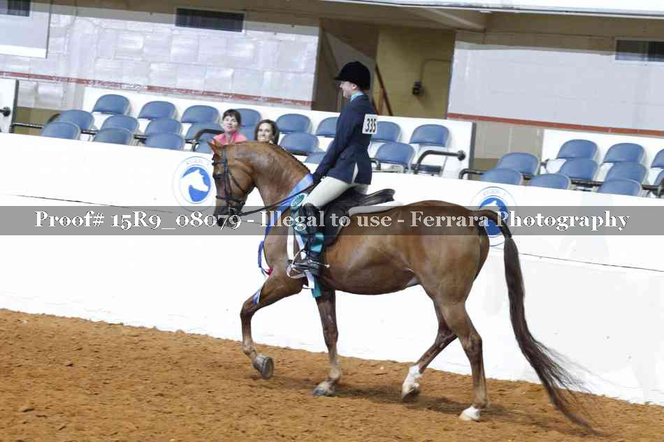 Proof Number 15R9_08079