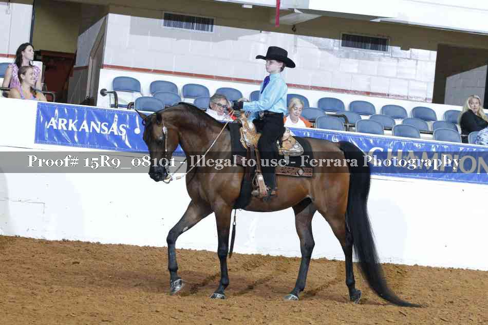 Proof Number 15R9_08101