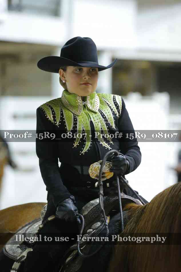 Proof Number 15R9_08107
