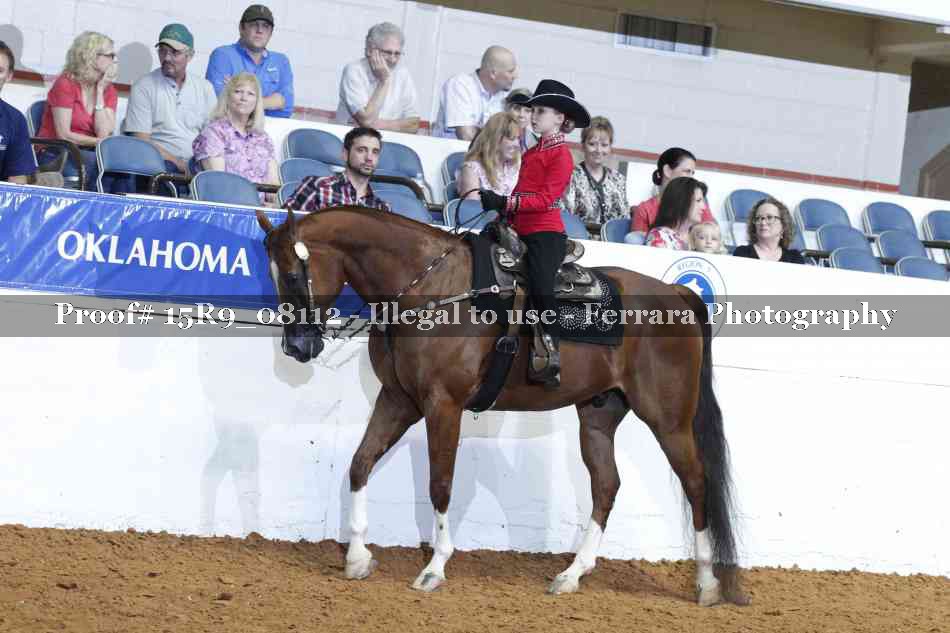 Proof Number 15R9_08112