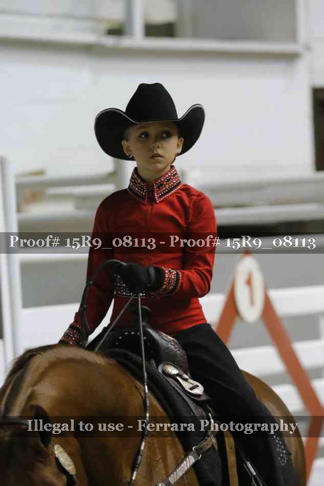 Proof Number 15R9_08113