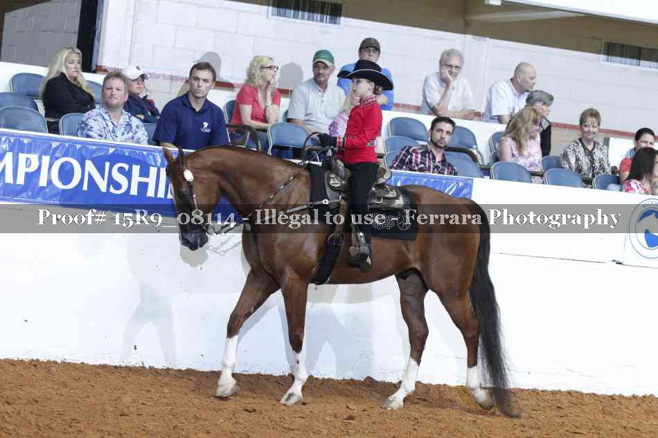 Proof Number 15R9_08114
