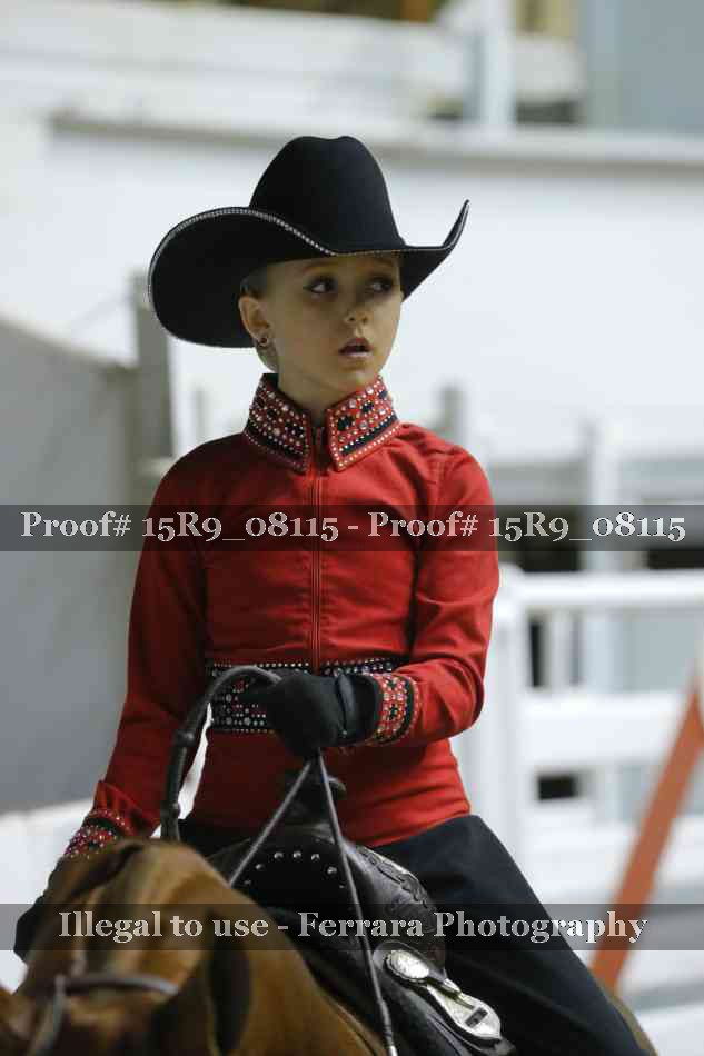 Proof Number 15R9_08115