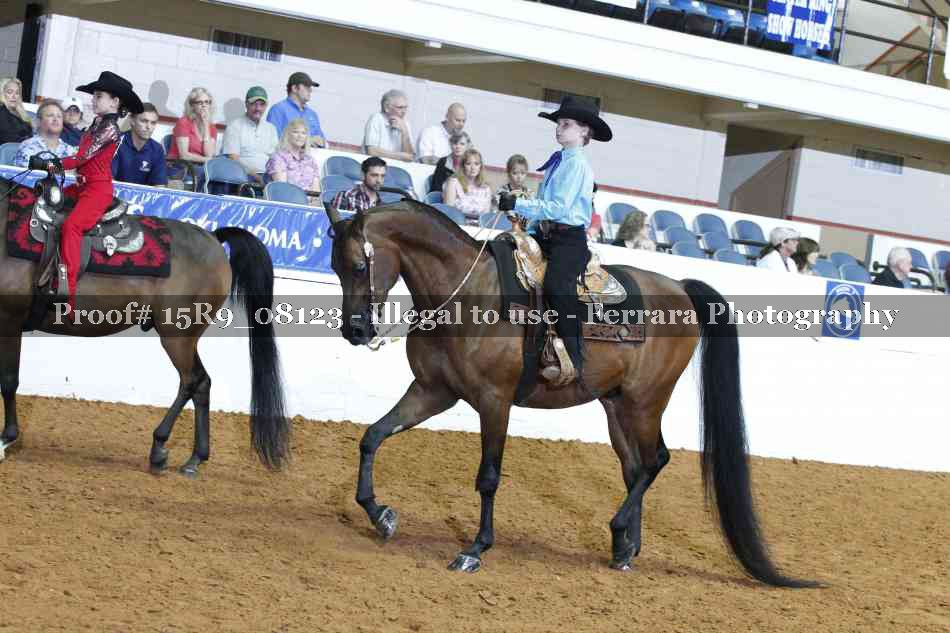 Proof Number 15R9_08123