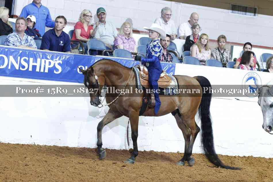 Proof Number 15R9_08127