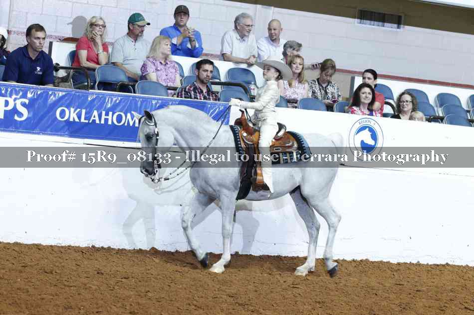 Proof Number 15R9_08133
