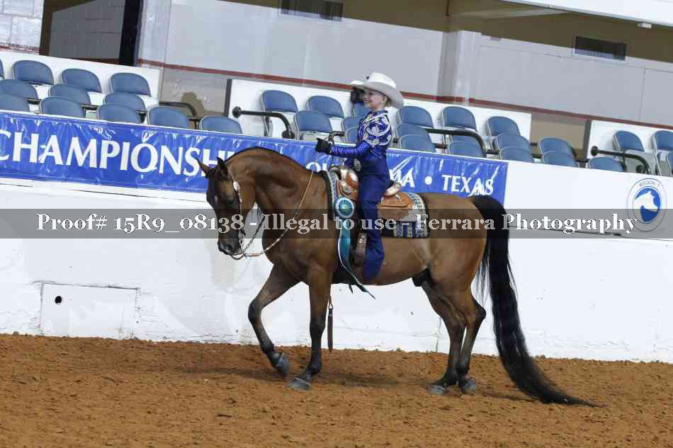 Proof Number 15R9_08138