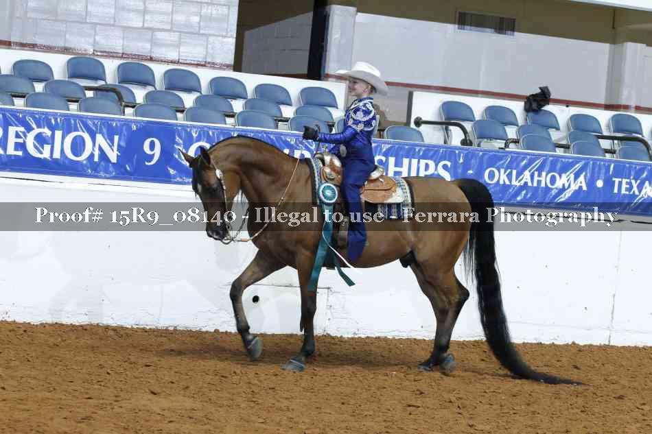 Proof Number 15R9_08140