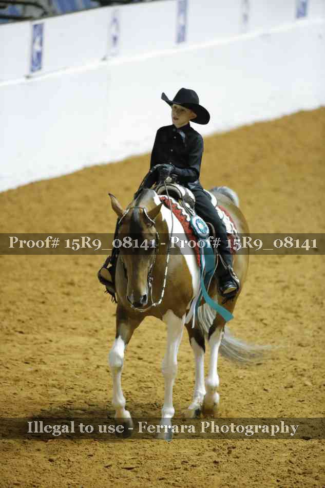 Proof Number 15R9_08141