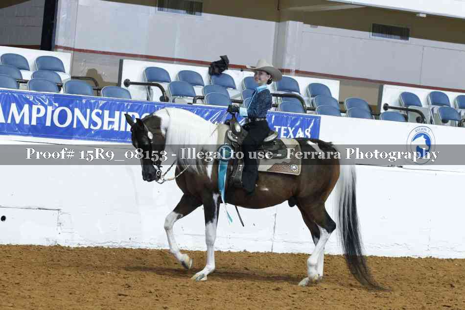 Proof Number 15R9_08153