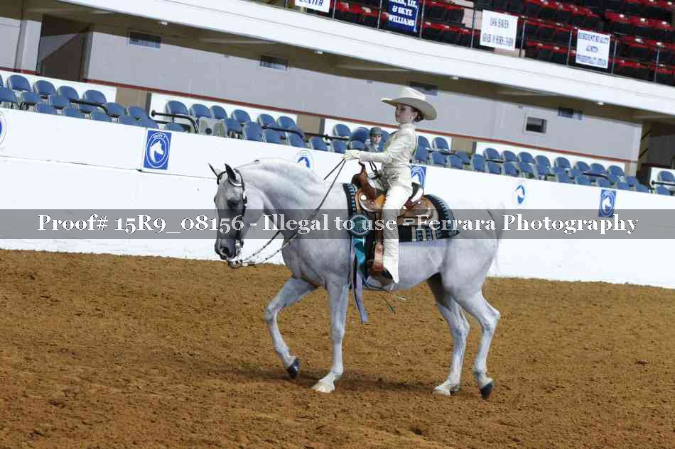 Proof Number 15R9_08156