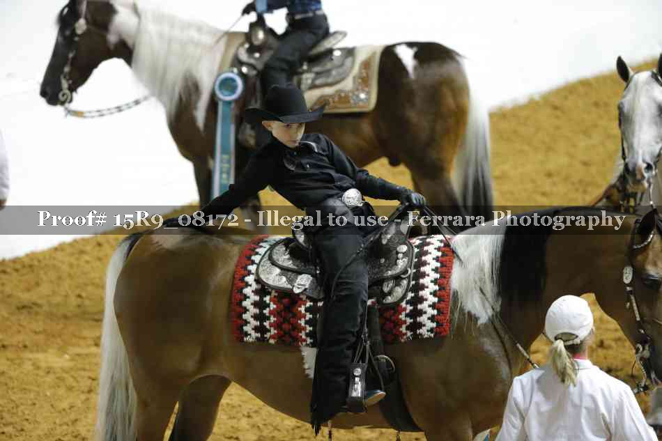 Proof Number 15R9_08172