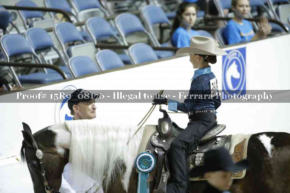 Proof Number 15R9_08176