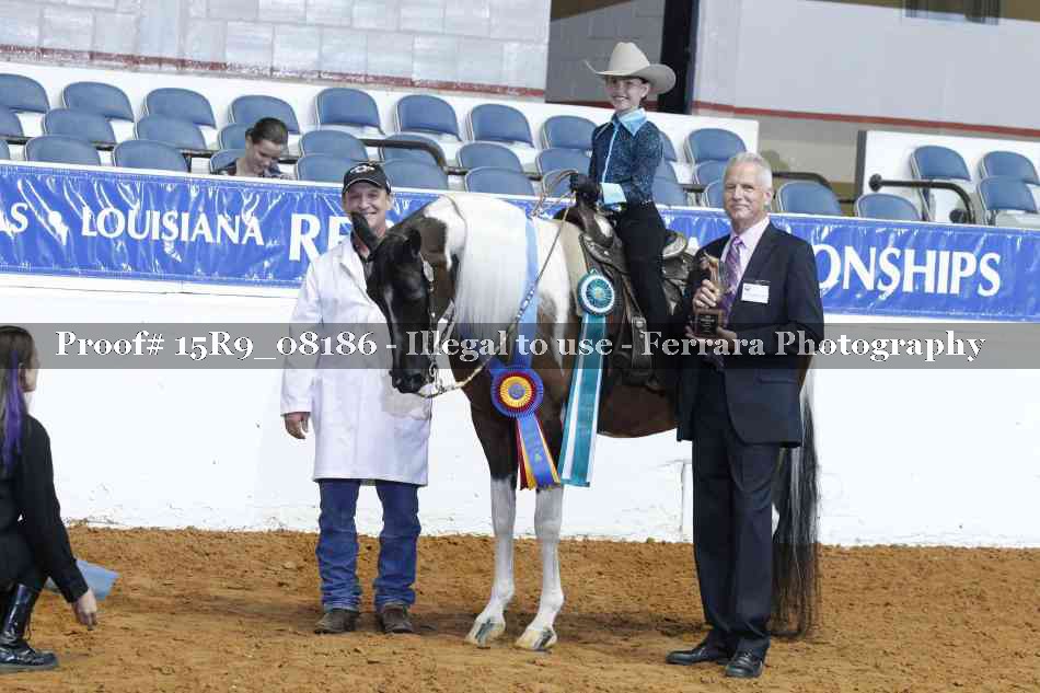 Proof Number 15R9_08186