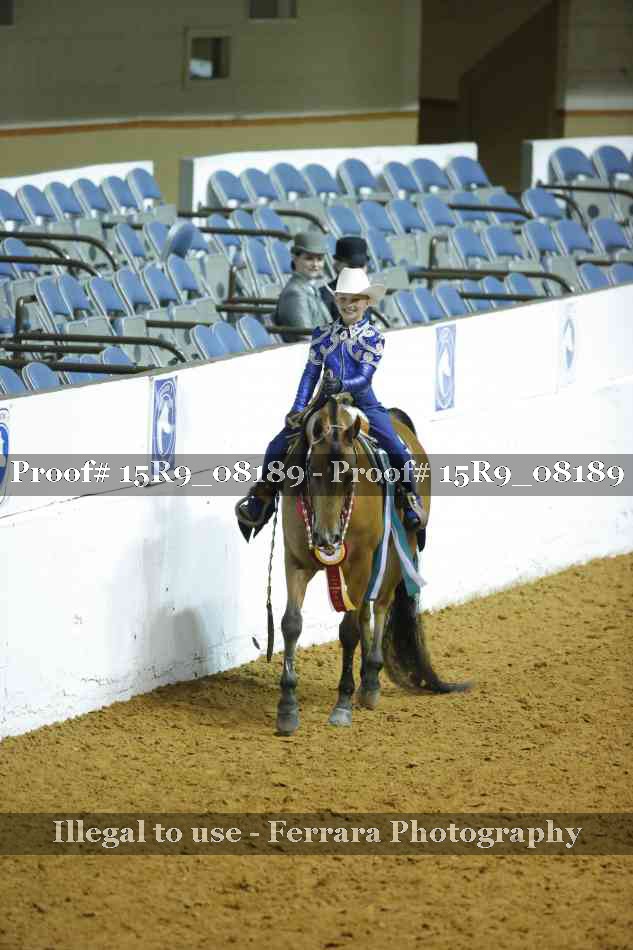 Proof Number 15R9_08189