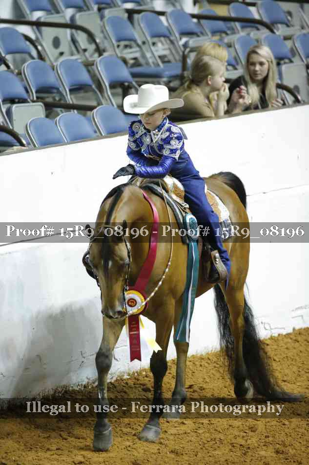 Proof Number 15R9_08196